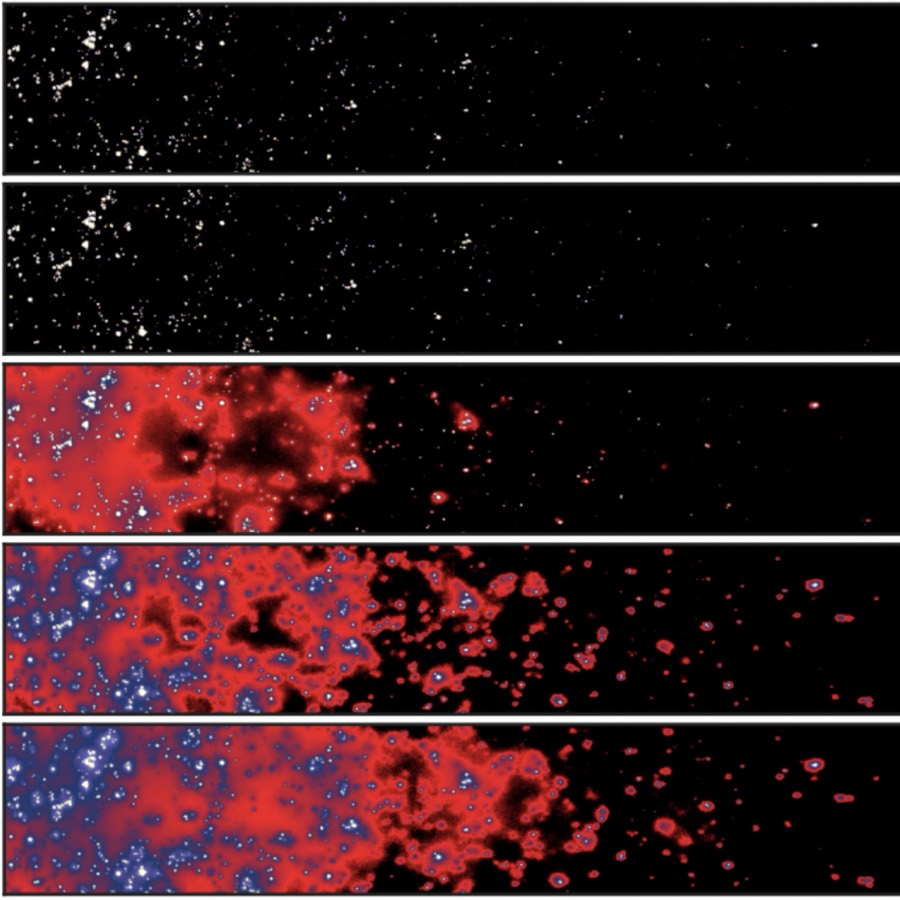 Lightcone slices showing ionized regions growing around sources