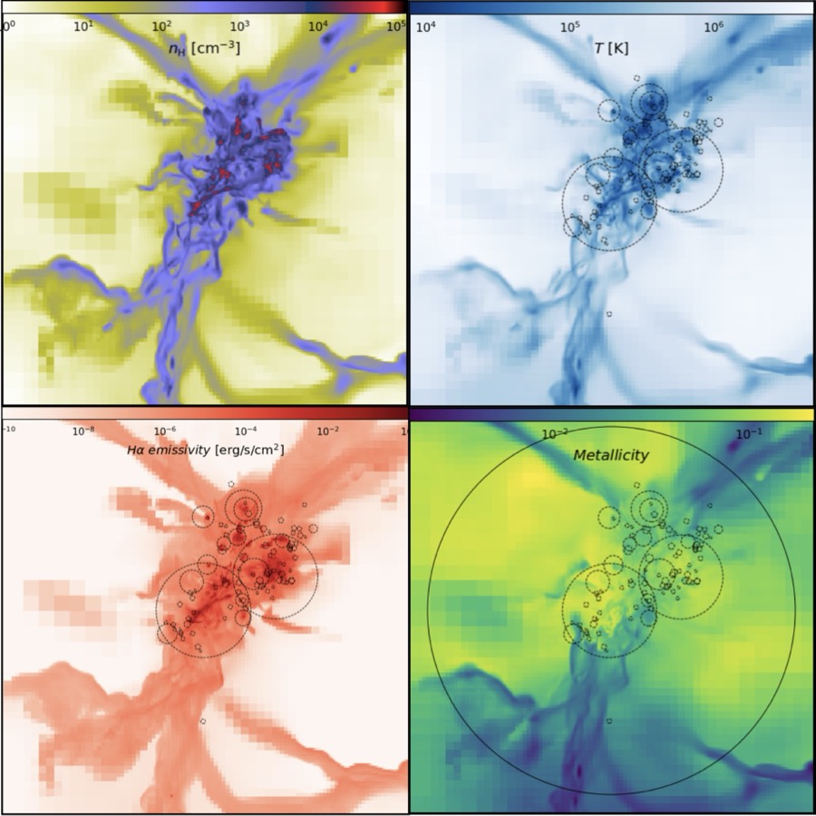 Gas density, temperature, emissivity and metallicity maps around a simulated galaxy